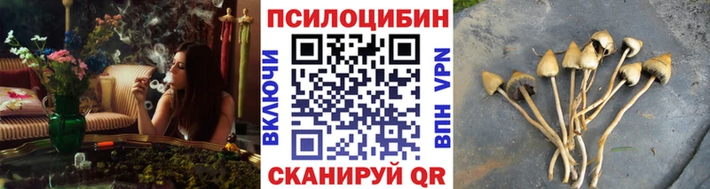 наркота  Хвалынск  ОМГ ОМГ рабочий сайт  Галлюциногенные грибы MAGIC MUSHROOMS 